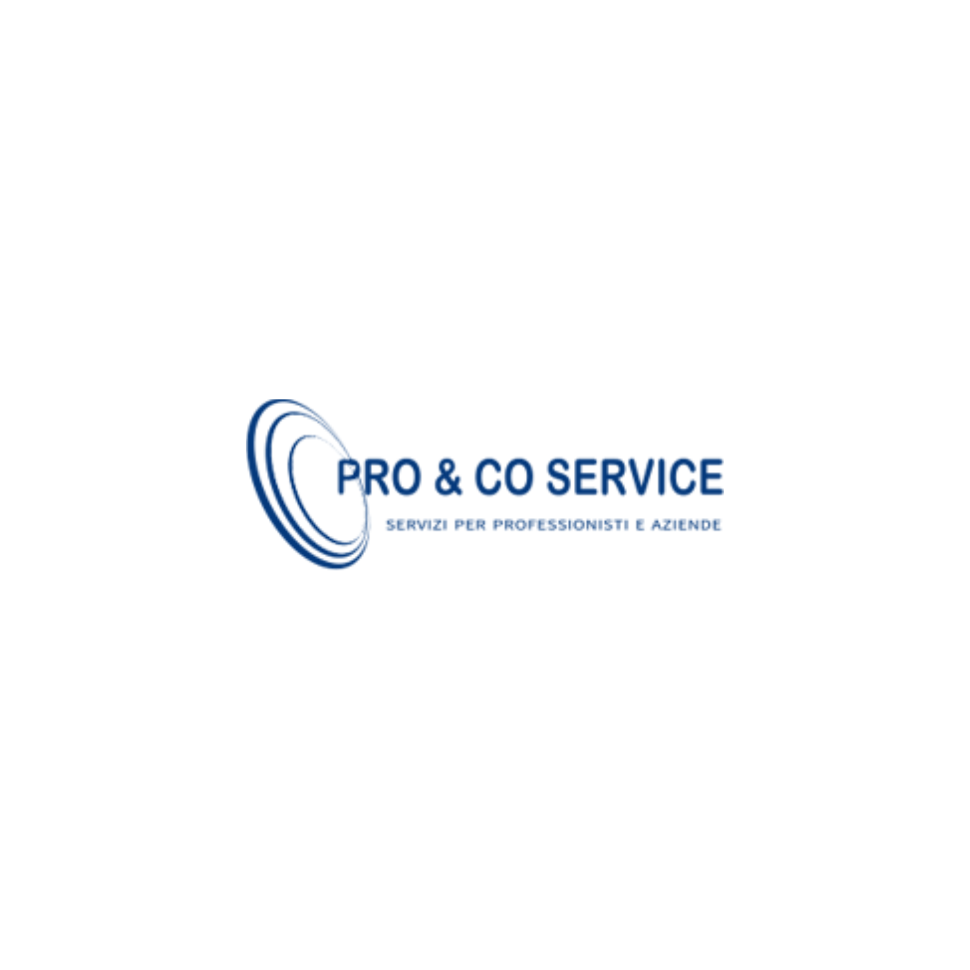 Logo Pro & Co Service